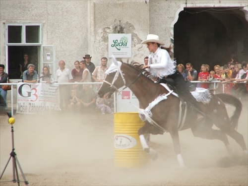 Western 2005