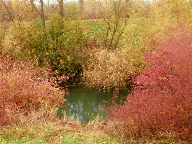 Z vychádzky