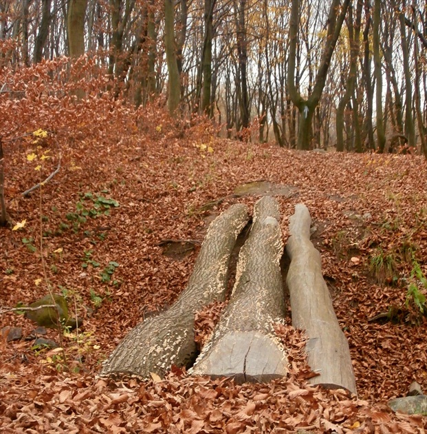 Nech sa páči,postupujte