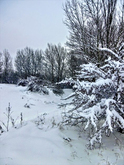 Zima pri rieke Váh