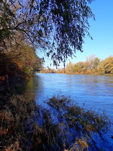 V koryte rieky Váh