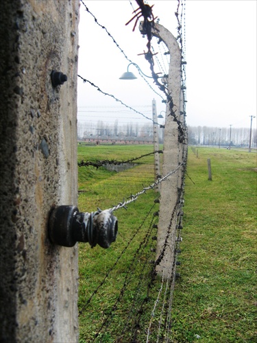 Auschwitz Birkenau ...
