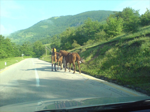 Kone na asfalte