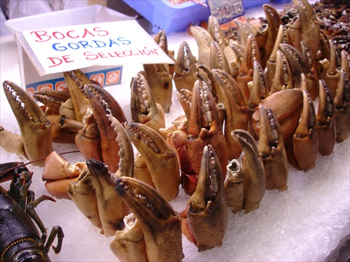 Fish market I