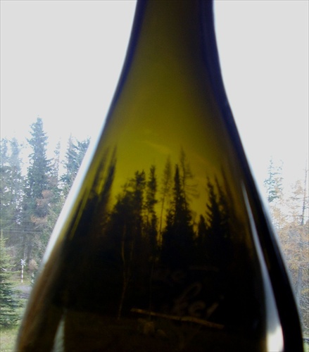 trees in bottle :)