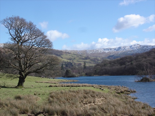 Rydal water