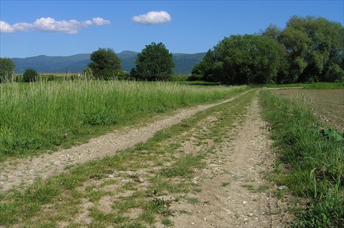 za dedinou