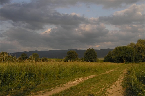 za dedinou II