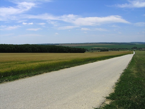 cestičkou