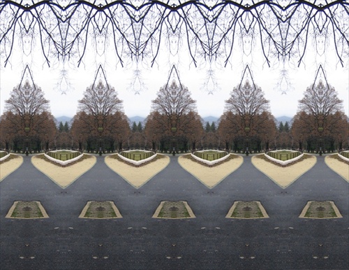 experiment 4