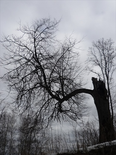 Strom