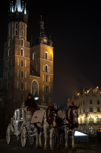 Koníky v Krakowe