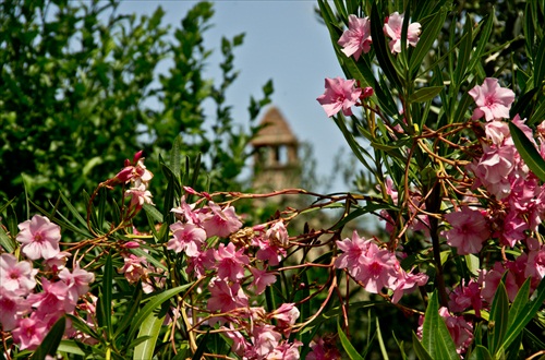 Colle di val d'elsa