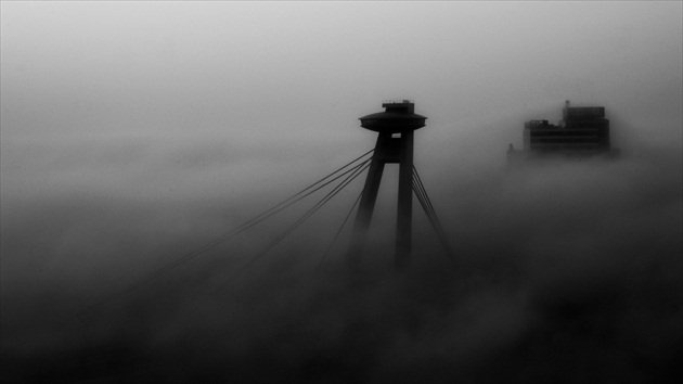 Most SNP v hmle