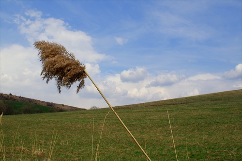 nahnutá