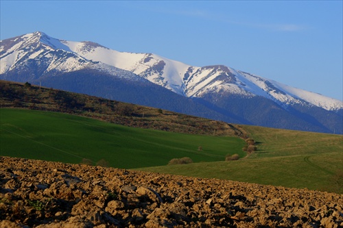 podvečerné línie