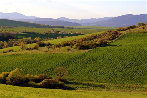 podvečerné línie