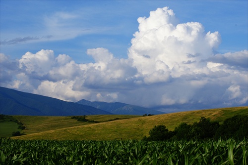 podvečerné línie