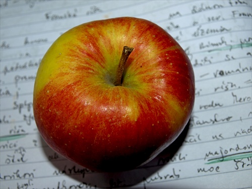 Dejepisné jablko