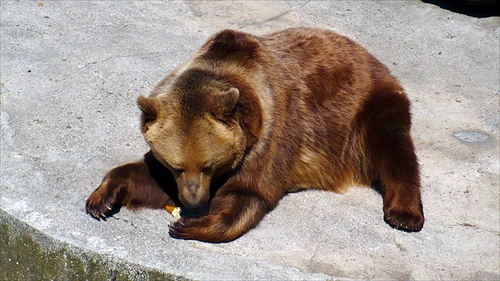 Zoo Bojnice.