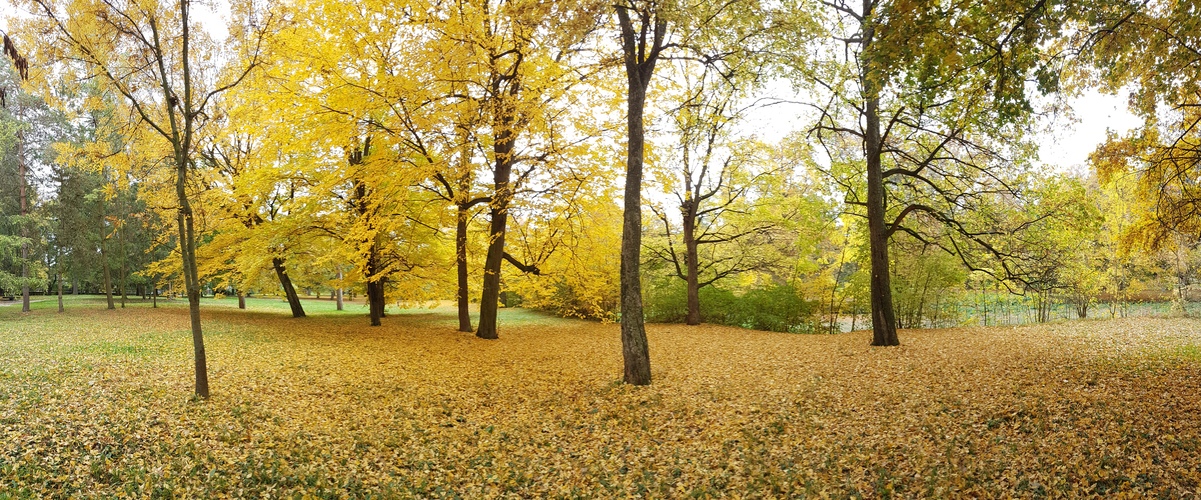 Jesen v parku