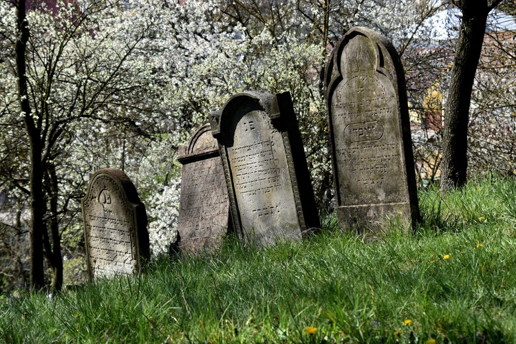 židovský cintorín