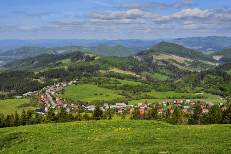 Zástranie