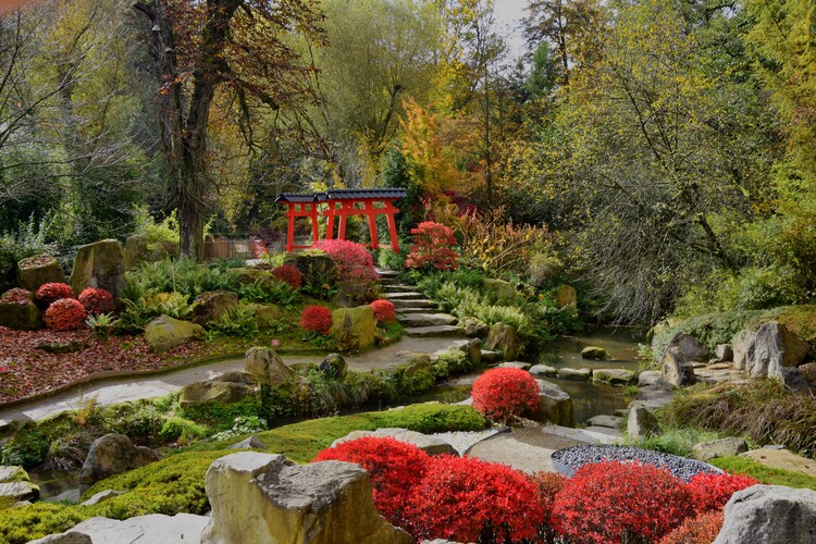 Japonská záhrada