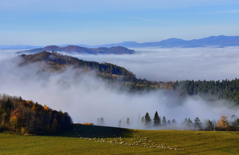 Ovečky pod Straníkom