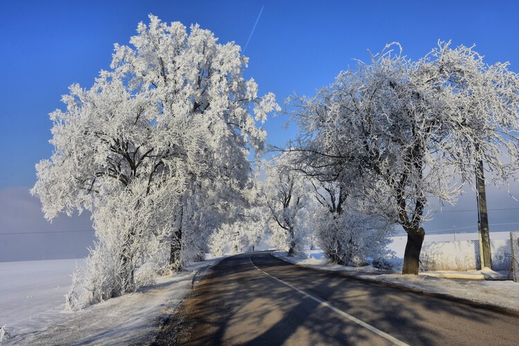 Cestou do rozprávky