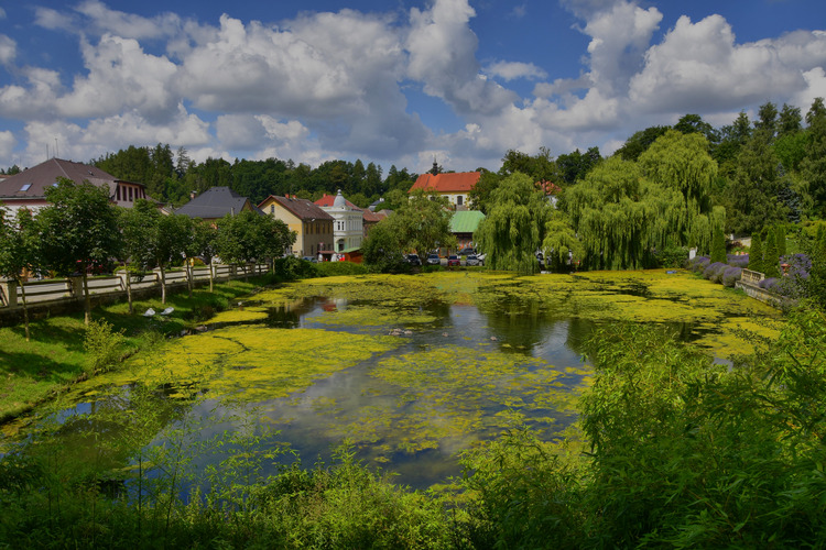Jazierko