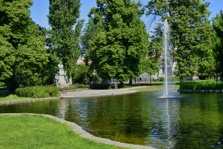 V parku