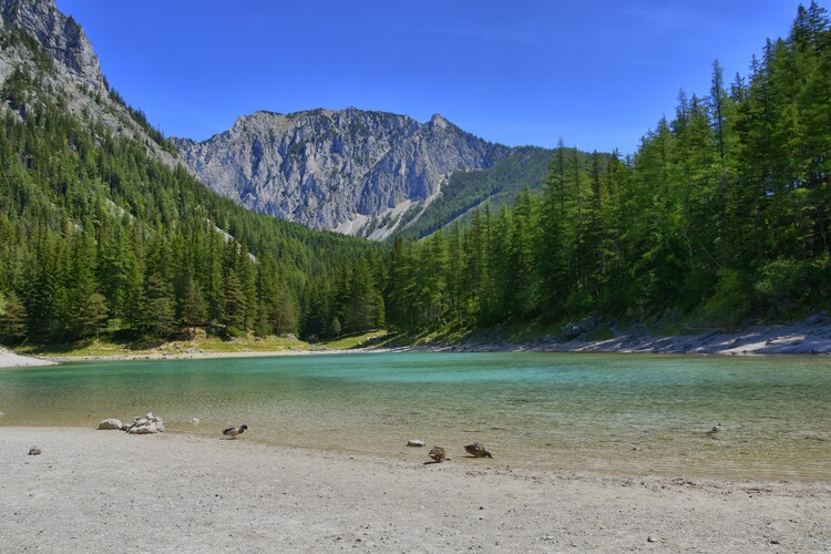 Grünner See
