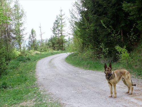 Cesta na "rúry"