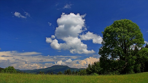 Letné pohľady...