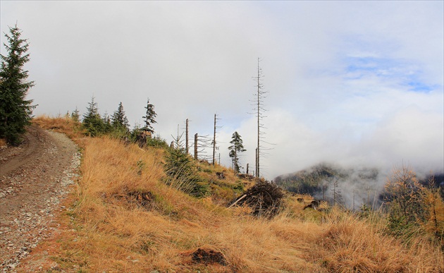 Cestička tam hore...