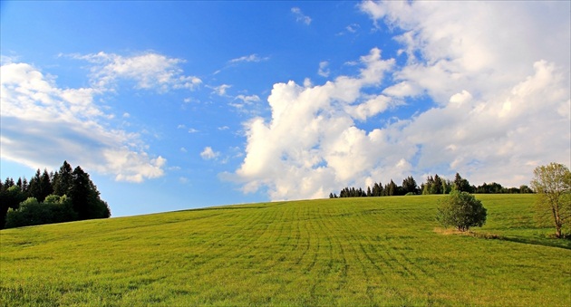 Pasienky na Krížnom