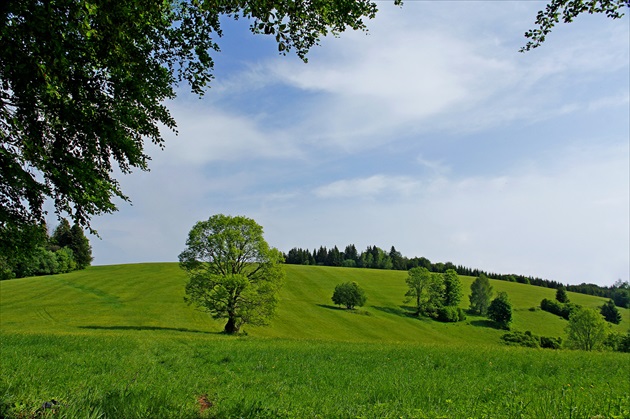 Náš obľúbenec