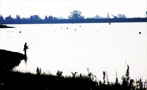 Tiché ráno na Blithfield Reservoir