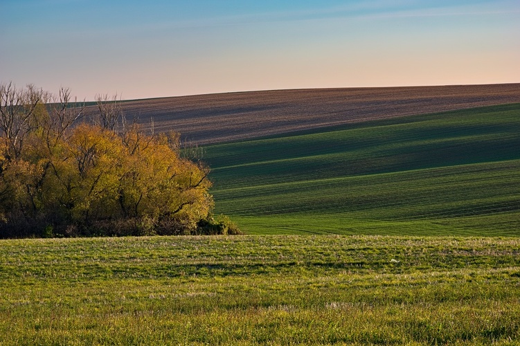Požitavie