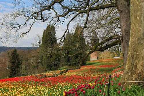 ostrov kvetin Mainau