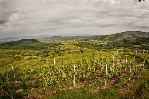 Kaiserstuhl