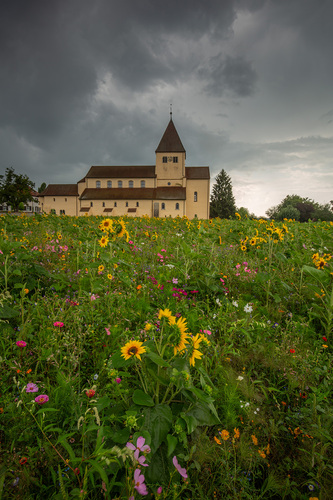 Reichenau  dnes za deste