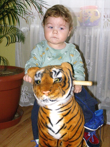 Tiger a Kubko