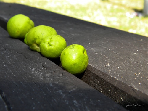zelené mini jabĺčka