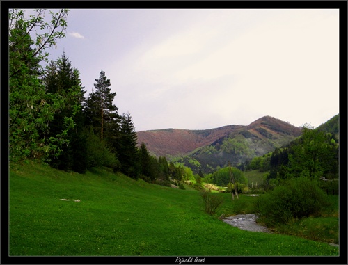 Rajecká lesná