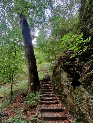 Hlboča