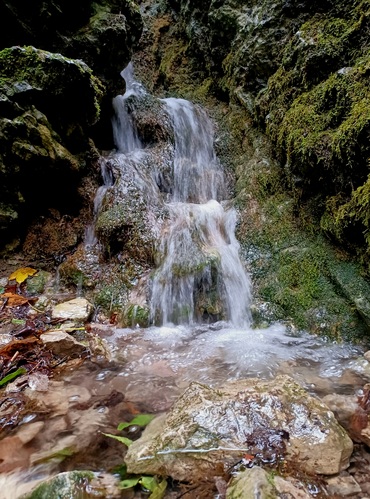 Hlboča