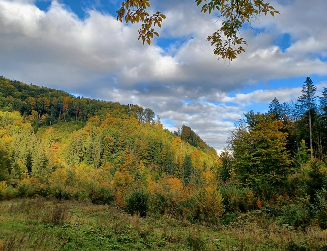 Malachovská dolina