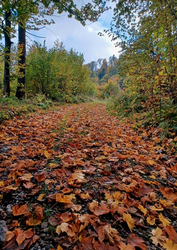 Malachovská dolina